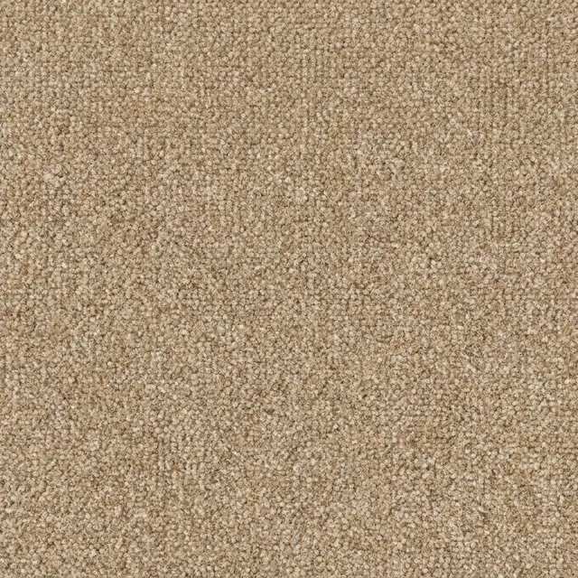 Berber Sand