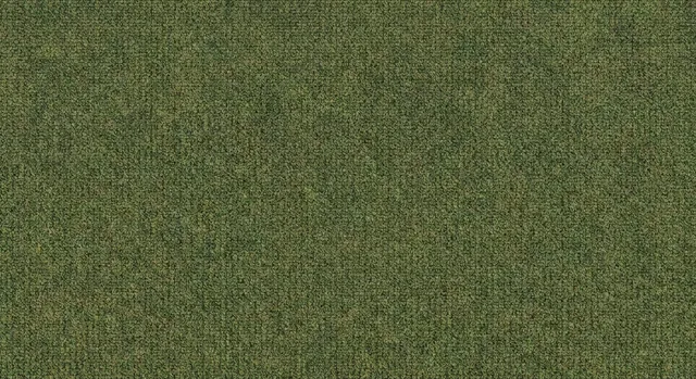 Moss Loop