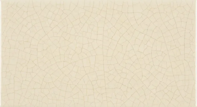 Porcelain Craquelure